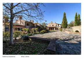 Fattoria Casamora - Residenze Pian Di Sco